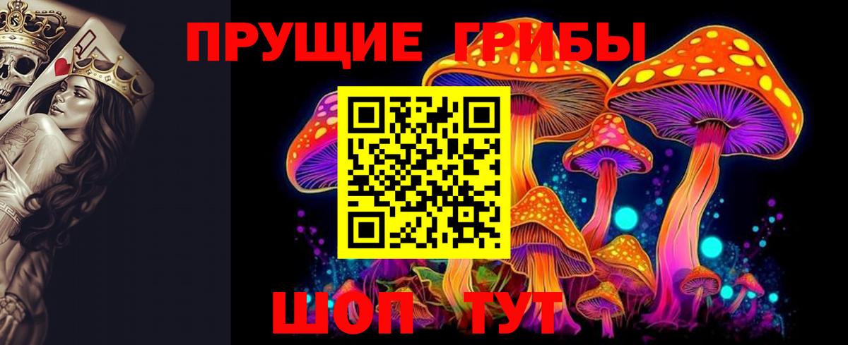 Псилоцибиновые грибы MAGIC MUSHROOMS  Вход с VPN  Волжск 